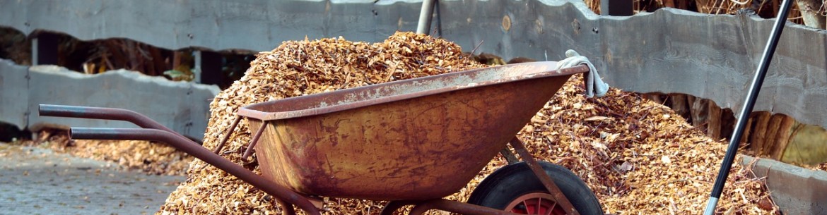 Protéger le jardin : Pailler les pommiers et autres arbres fruitiers