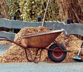 Protéger le jardin : Pailler les pommiers et autres arbres fruitiers