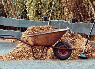 Protéger le jardin : Pailler les pommiers et autres arbres fruitiers