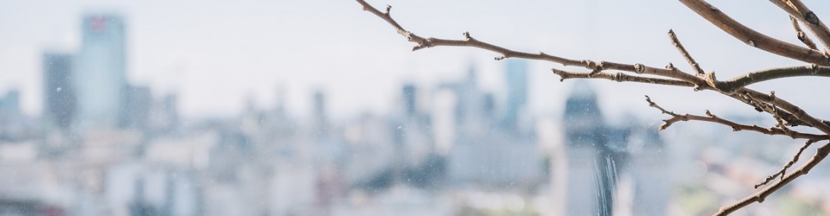 Pourquoi le pommier ne s'est-il pas réveillé après l'hiver ?