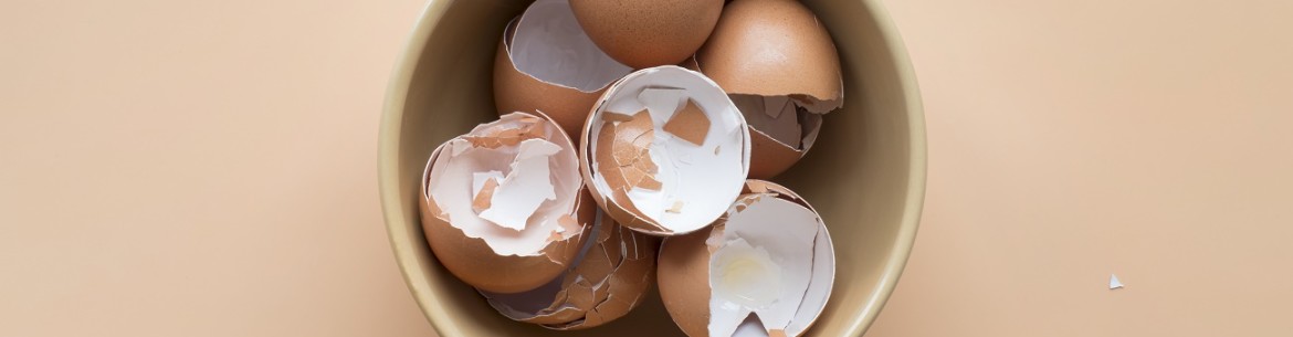 Toutes les façons d'utiliser les coquilles d'œufs au jardin