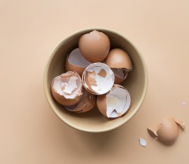 Toutes les façons d'utiliser les coquilles d'œufs au jardin