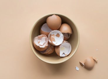 Toutes les façons d'utiliser les coquilles d'œufs au jardin