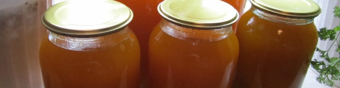 Jus de pommes pour l'hiver, préparé avec un extracteur de jus