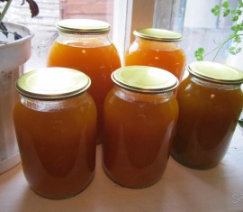 Jus de pommes pour l'hiver, préparé avec un extracteur de jus