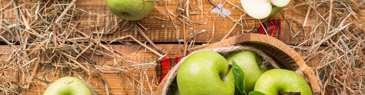 Comment savoir si les pommes sont mûres pour la récolte ou la conservation : 7 signes