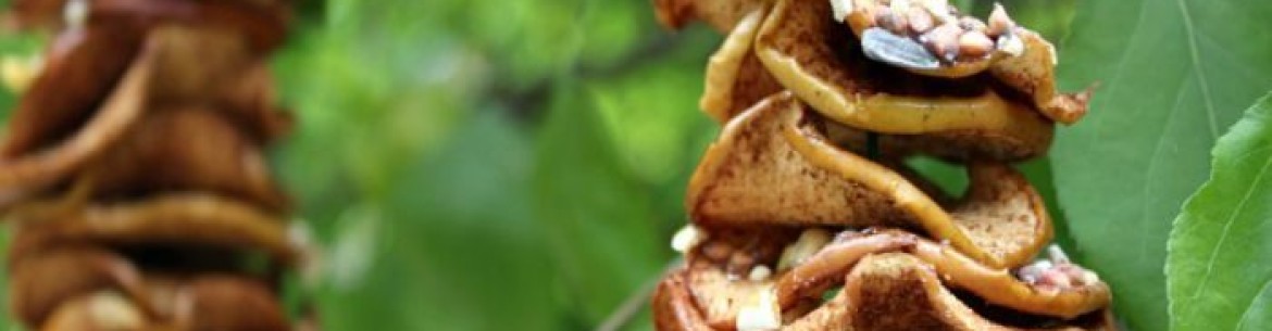 Séchage des pommes à l'air libre, au soleil et à l'ombre