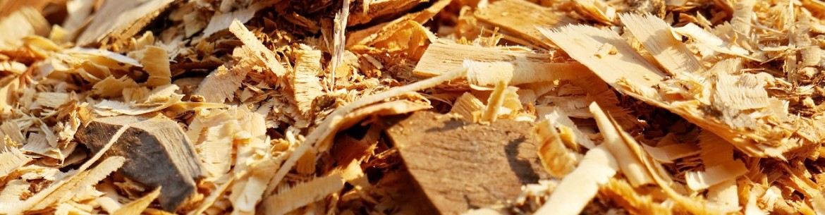 Utiliser la sciure de bois au jardin : avantages et inconvénients, quelle est la meilleure solution, règles d’utilisation