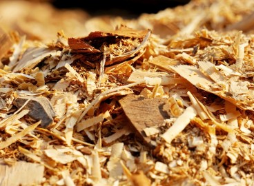 Utiliser la sciure de bois au jardin : avantages et inconvénients, quelle est la meilleure solution, règles d’utilisation