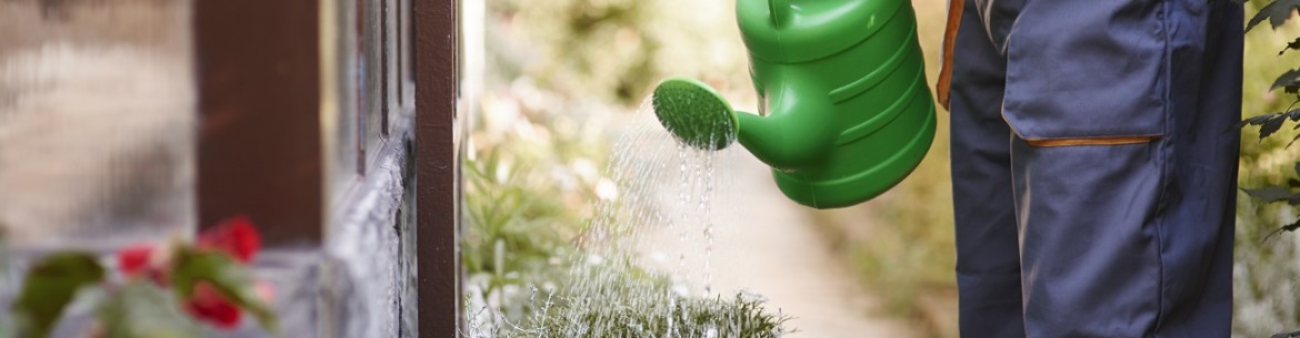 Traitement d'un site à l'ammoniaque : à quoi sert-il et comment l'utiliser correctement ?