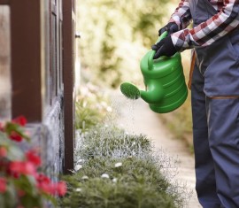 Traitement d'un site à l'ammoniaque : à quoi sert-il et comment l'utiliser correctement ?