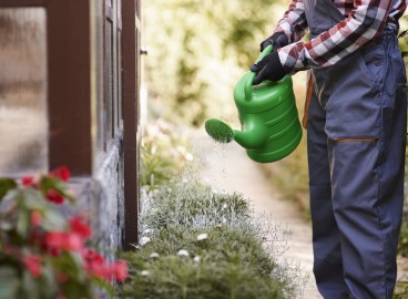 Traitement d'un site à l'ammoniaque : à quoi sert-il et comment l'utiliser correctement ?