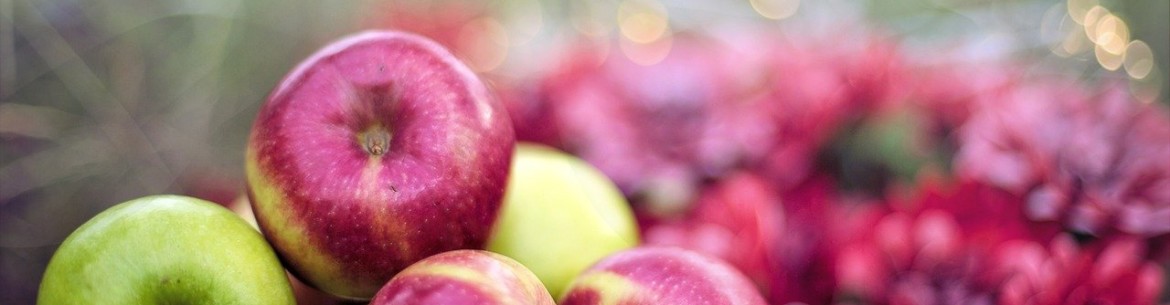 Comment conserver les pommes pour l'hiver à la maison : conseils pour stocker la récolte jusqu'au printemps