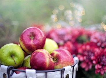 Comment conserver les pommes pour l'hiver à la maison : conseils pour stocker la récolte jusqu'au printemps