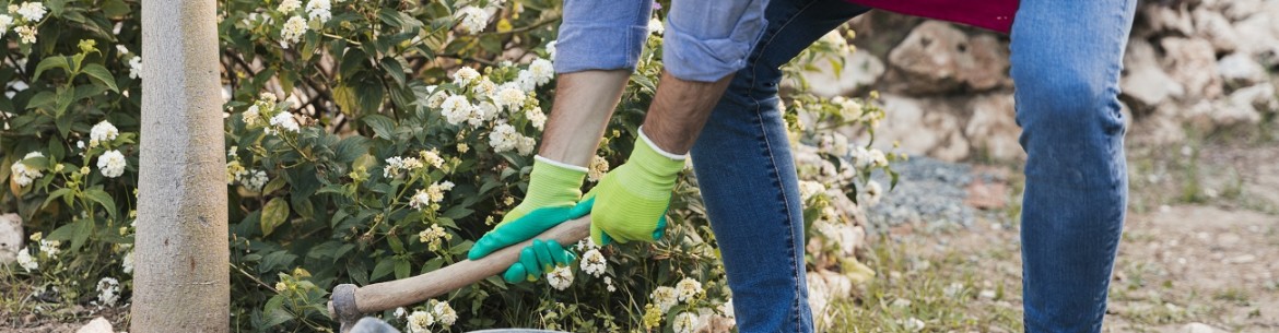 Décorez votre jardin avec des créations en ciment à faire soi-même : idées intéressantes et instructions étape par étape