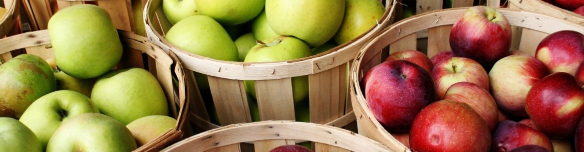 Pourquoi ont-ils embarqué des barils de pommes à bord des navires ?