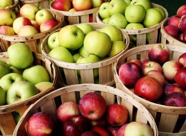 Pourquoi ont-ils embarqué des barils de pommes à bord des navires ?