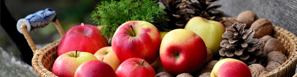 Les bienfaits indéniables des pommes pour le corps