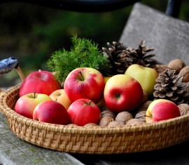 Les bienfaits indéniables des pommes pour le corps