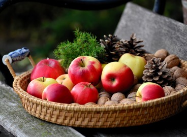 Les bienfaits indéniables des pommes pour le corps