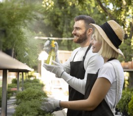 Instructions pour Fitosporin : utilisation au jardin et au potager