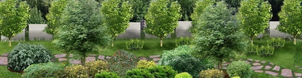 Comment disposer les arbres fruitiers sur un terrain : déterminer l’aménagement du jardin