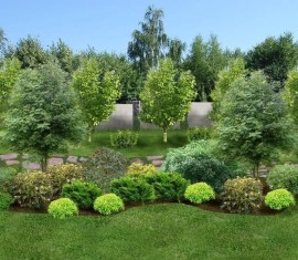 Comment disposer les arbres fruitiers sur un terrain : déterminer l’aménagement du jardin