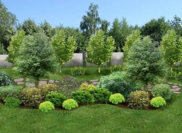 Comment disposer les arbres fruitiers sur un terrain : déterminer l’aménagement du jardin