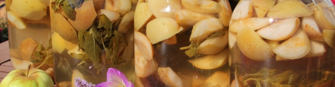 Nous avons rassemblé 10 recettes de conserves de pommes pour tous les goûts : de la confiture à l'adjika en passant par la pastila.