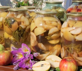 Nous avons rassemblé 10 recettes de conserves de pommes pour tous les goûts : de la confiture à l'adjika en passant par la pastila.
