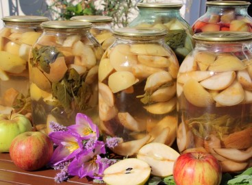 Nous avons rassemblé 10 recettes de conserves de pommes pour tous les goûts : de la confiture à l'adjika en passant par la pastila.