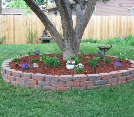 Que planter à l'ombre d'un pommier : 5 raisons d'utiliser le cercle formé par le tronc de l'arbre