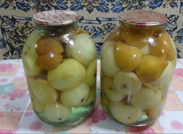 Compote de pommes et de poires pour l'hiver