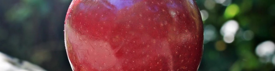 Que contient une pomme rouge : combien de calories ingérez-vous ?