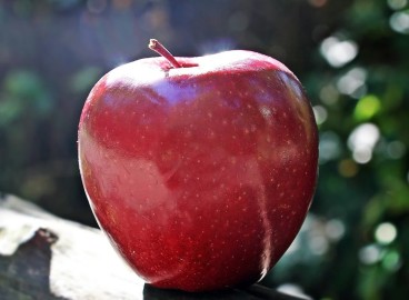 Que contient une pomme rouge : combien de calories ingérez-vous ?