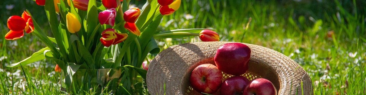 Les pommes et le diabète : les diabétiques peuvent-ils en manger ?