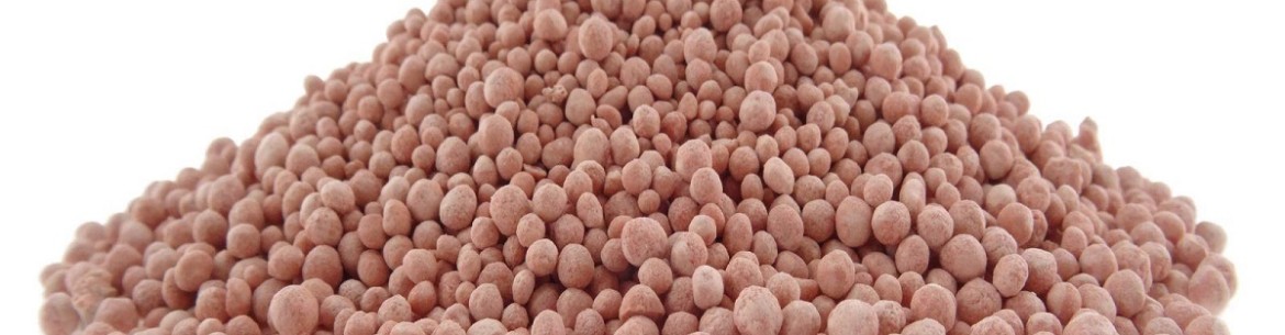 Diammophoska : instructions d'utilisation au jardin et au potager