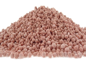 Diammophoska : instructions d'utilisation au jardin et au potager