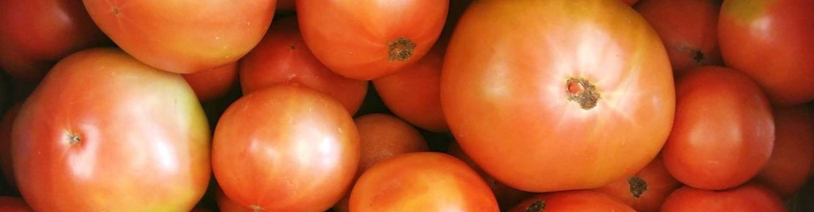 Pourquoi met-on des pommes dans des tomates ?