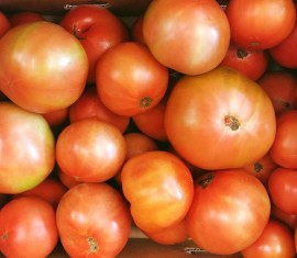 Pourquoi met-on des pommes dans des tomates ?