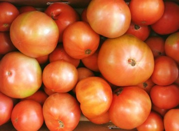 Pourquoi met-on des pommes dans des tomates ?