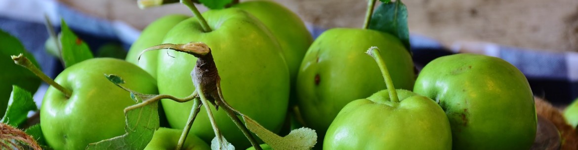 Planter un pommier au printemps dans la région de Leningrad : instructions étape par étape