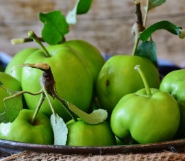 Planter un pommier au printemps dans la région de Leningrad : instructions étape par étape