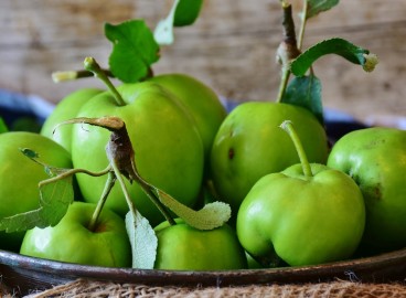 Planter un pommier au printemps dans la région de Leningrad : instructions étape par étape