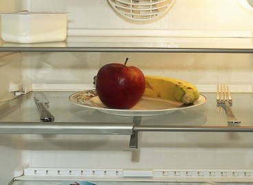 Comment bien conserver les pommes au réfrigérateur : règles pour préserver les bienfaits des fruits