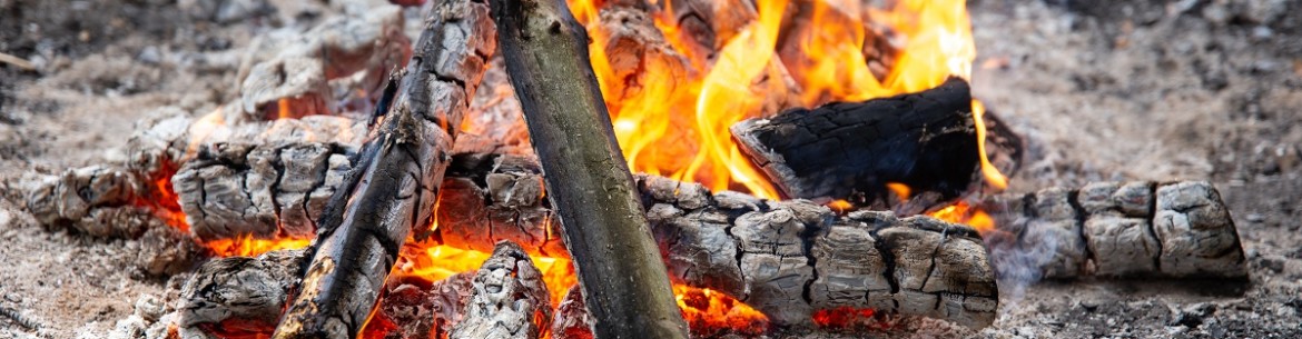 Les cendres comme engrais : types et règles d’utilisation