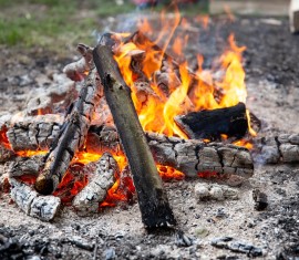 Les cendres comme engrais : types et règles d’utilisation