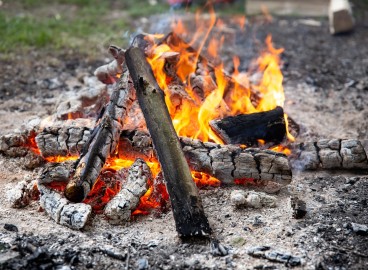 Les cendres comme engrais : types et règles d’utilisation