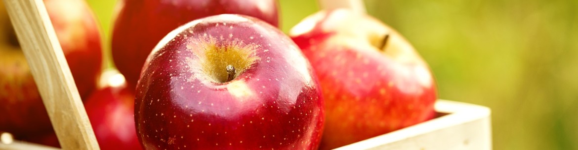 Les 3 plus grandes variétés de pommes : pour ceux qui aiment les grosses pommes