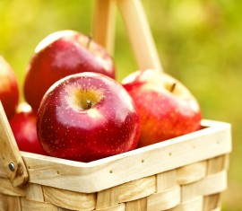 Les 3 plus grandes variétés de pommes : pour ceux qui aiment les grosses pommes